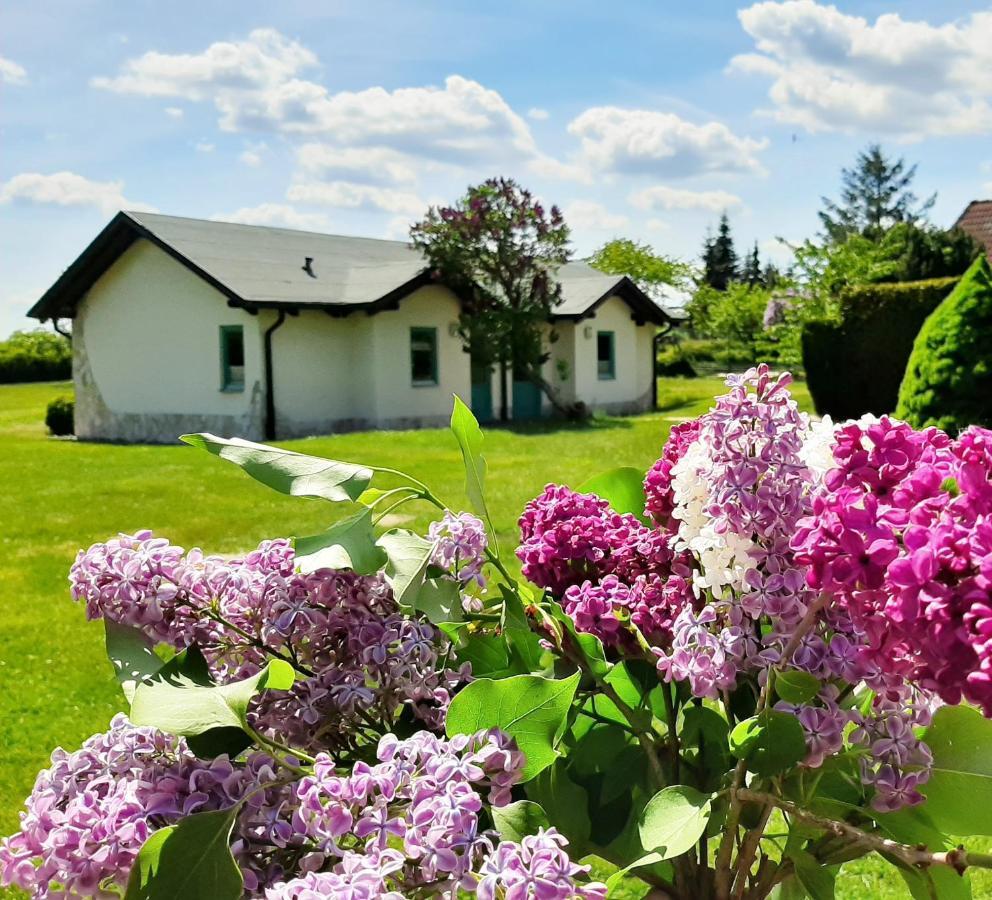 Pension Landhaus Teichgraf Wolgast Εξωτερικό φωτογραφία